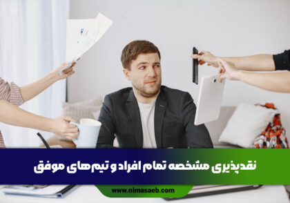 نقد پذیری